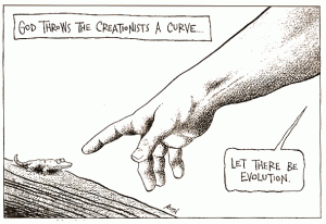 evolution twist - Google Image credit